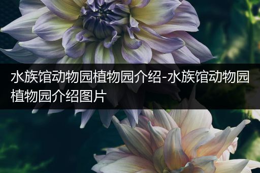 水族馆动物园植物园介绍-水族馆动物园植物园介绍图片