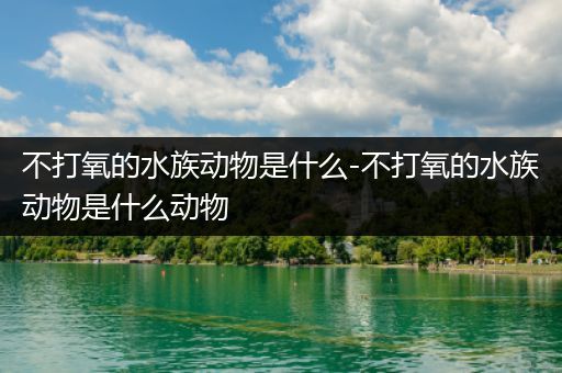 不打氧的水族动物是什么-不打氧的水族动物是什么动物