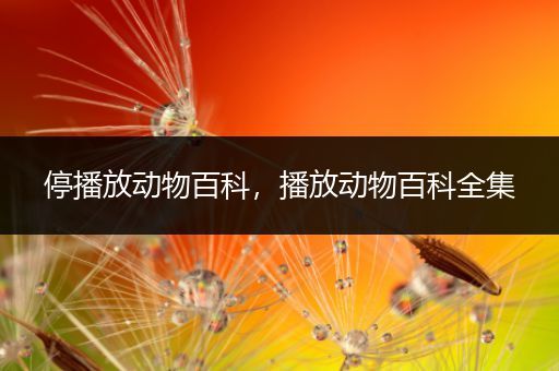 停播放动物百科，播放动物百科全集