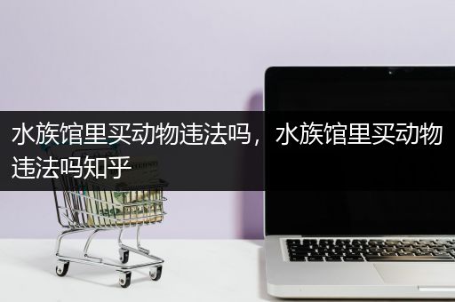水族馆里买动物违法吗，水族馆里买动物违法吗知乎