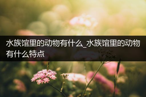 水族馆里的动物有什么_水族馆里的动物有什么特点