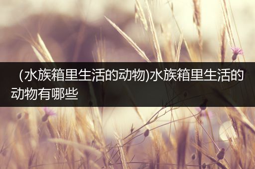 （水族箱里生活的动物)水族箱里生活的动物有哪些