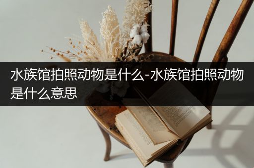 水族馆拍照动物是什么-水族馆拍照动物是什么意思