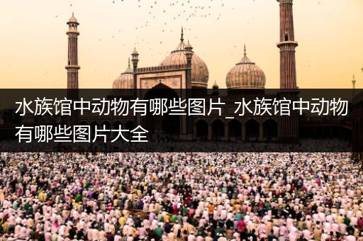水族馆中动物有哪些图片_水族馆中动物有哪些图片大全