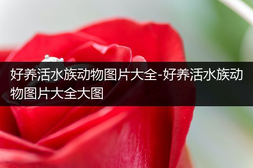 好养活水族动物图片大全-好养活水族动物图片大全大图