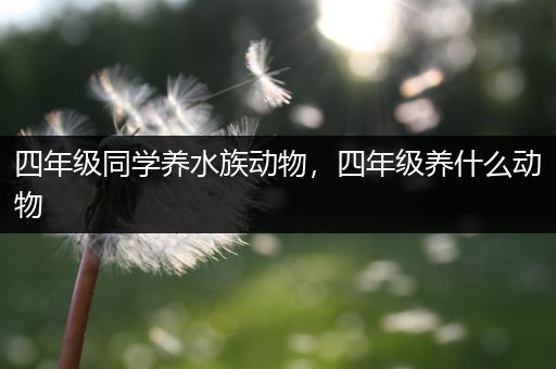 四年级同学养水族动物，四年级养什么动物