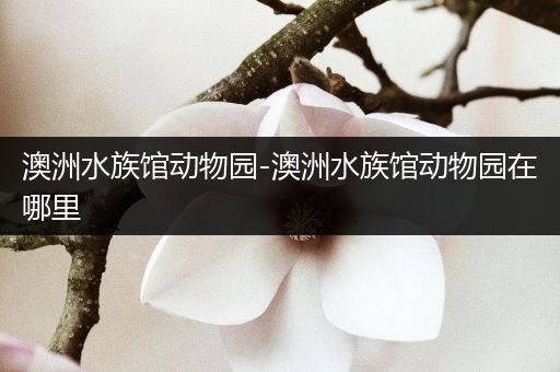 澳洲水族馆动物园-澳洲水族馆动物园在哪里