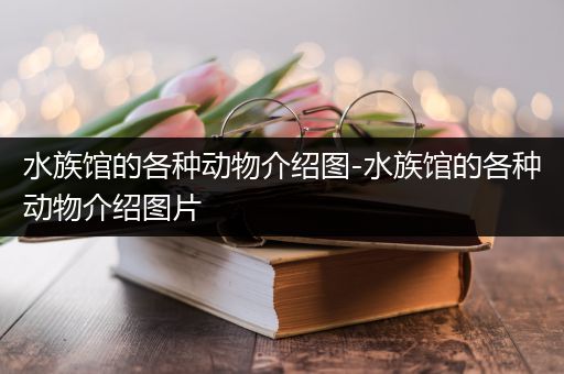 水族馆的各种动物介绍图-水族馆的各种动物介绍图片