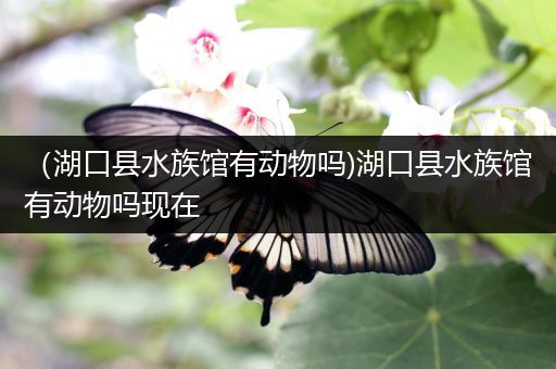 （湖口县水族馆有动物吗)湖口县水族馆有动物吗现在