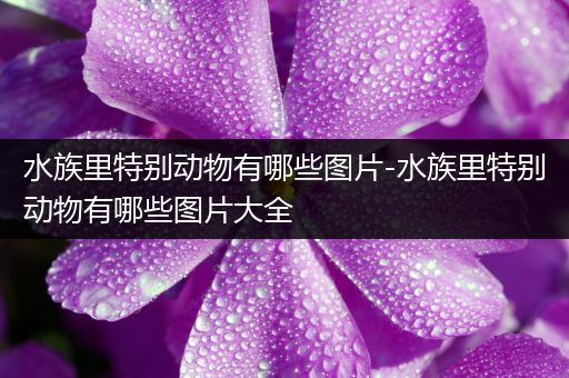 水族里特别动物有哪些图片-水族里特别动物有哪些图片大全