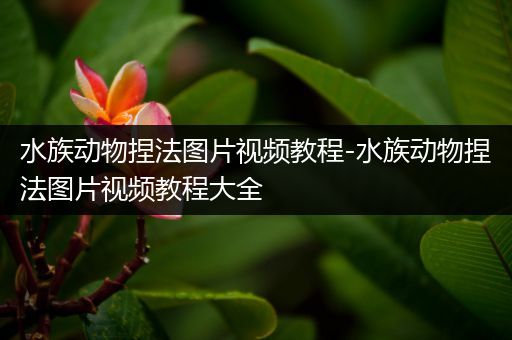 水族动物捏法图片视频教程-水族动物捏法图片视频教程大全