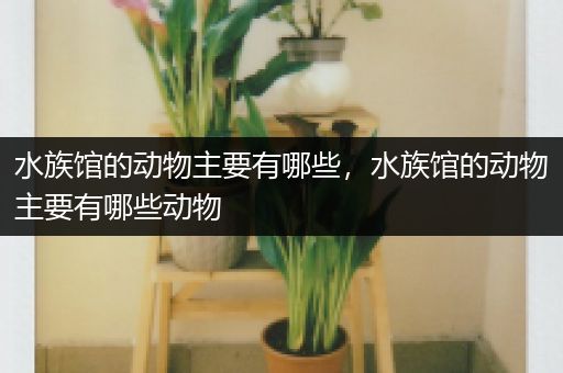水族馆的动物主要有哪些，水族馆的动物主要有哪些动物