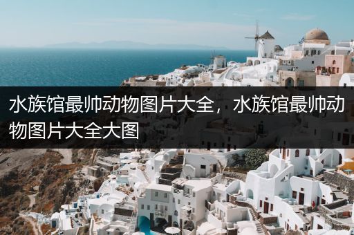 水族馆最帅动物图片大全，水族馆最帅动物图片大全大图
