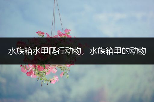 水族箱水里爬行动物，水族箱里的动物