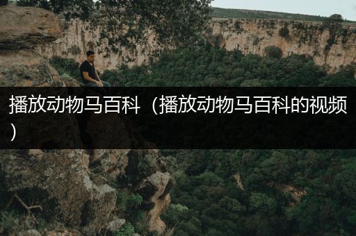 播放动物马百科（播放动物马百科的视频）
