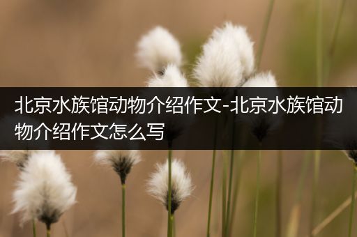 北京水族馆动物介绍作文-北京水族馆动物介绍作文怎么写