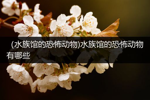 （水族馆的恐怖动物)水族馆的恐怖动物有哪些