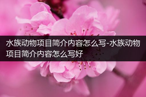 水族动物项目简介内容怎么写-水族动物项目简介内容怎么写好