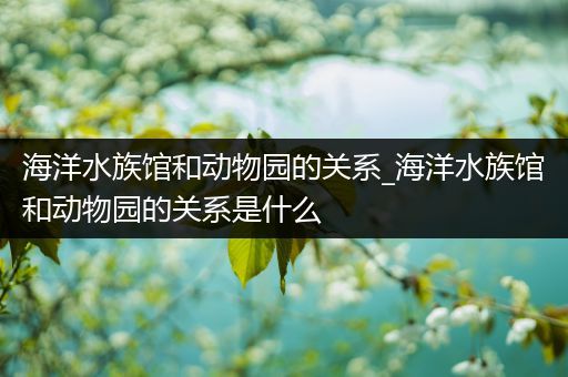 海洋水族馆和动物园的关系_海洋水族馆和动物园的关系是什么