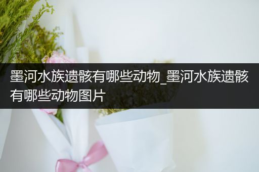 墨河水族遗骸有哪些动物_墨河水族遗骸有哪些动物图片