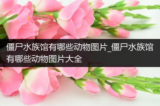 僵尸水族馆有哪些动物图片_僵尸水族馆有哪些动物图片大全