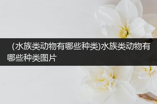 （水族类动物有哪些种类)水族类动物有哪些种类图片