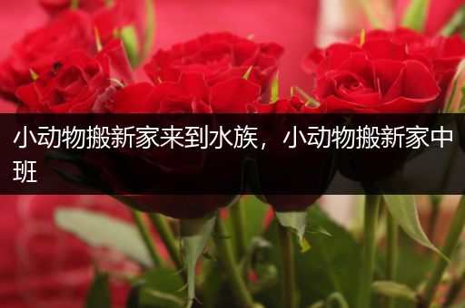 小动物搬新家来到水族，小动物搬新家中班