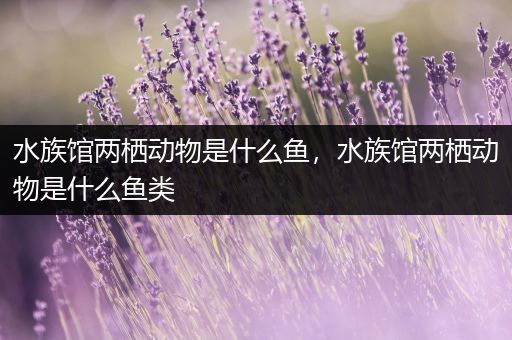 水族馆两栖动物是什么鱼，水族馆两栖动物是什么鱼类