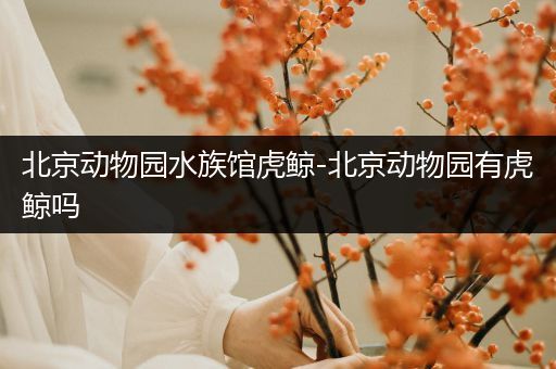 北京动物园水族馆虎鲸-北京动物园有虎鲸吗