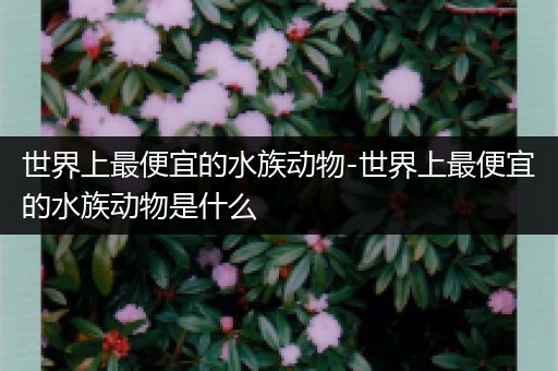 世界上最便宜的水族动物-世界上最便宜的水族动物是什么