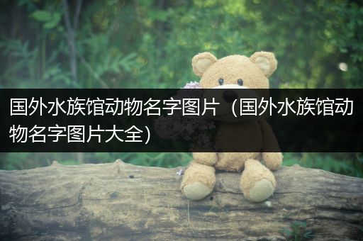 国外水族馆动物名字图片（国外水族馆动物名字图片大全）
