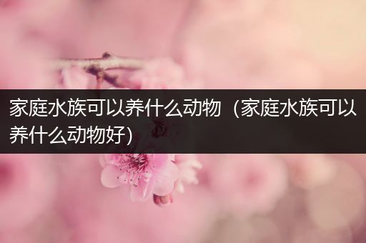 家庭水族可以养什么动物（家庭水族可以养什么动物好）