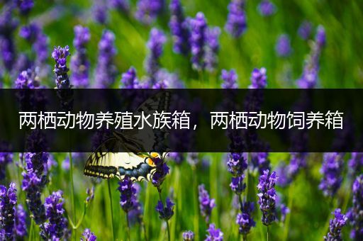 两栖动物养殖水族箱，两栖动物饲养箱