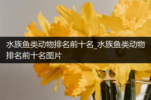 水族鱼类动物排名前十名_水族鱼类动物排名前十名图片