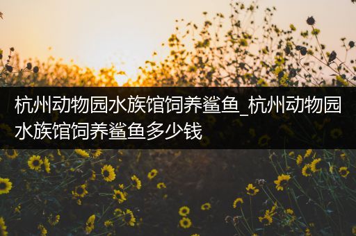 杭州动物园水族馆饲养鲨鱼_杭州动物园水族馆饲养鲨鱼多少钱