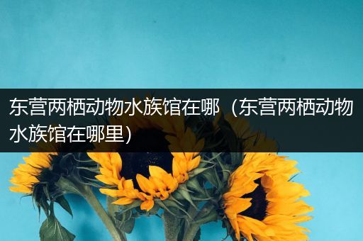 东营两栖动物水族馆在哪（东营两栖动物水族馆在哪里）