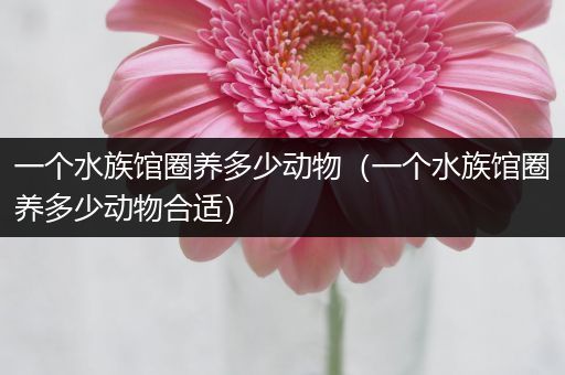 一个水族馆圈养多少动物（一个水族馆圈养多少动物合适）