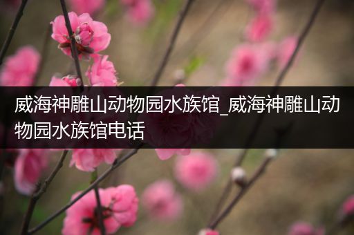 威海神雕山动物园水族馆_威海神雕山动物园水族馆电话