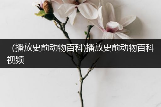 （播放史前动物百科)播放史前动物百科视频