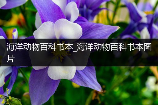 海洋动物百科书本_海洋动物百科书本图片
