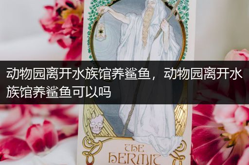 动物园离开水族馆养鲨鱼，动物园离开水族馆养鲨鱼可以吗