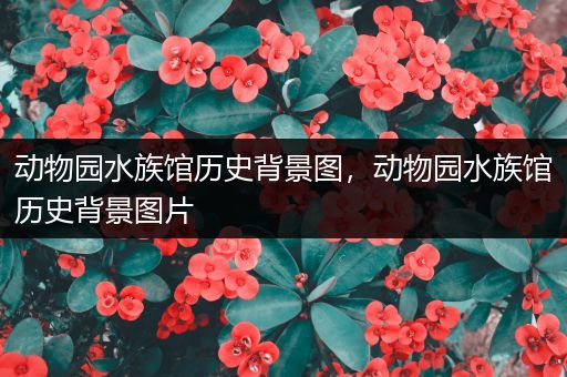 动物园水族馆历史背景图，动物园水族馆历史背景图片