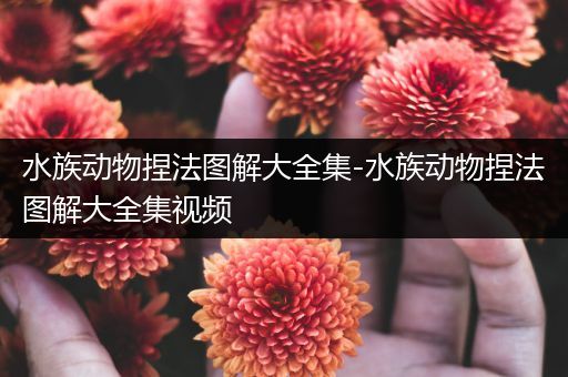 水族动物捏法图解大全集-水族动物捏法图解大全集视频