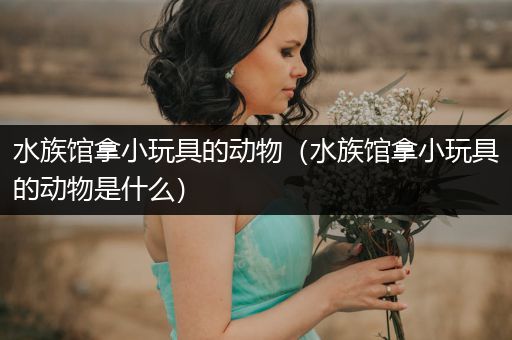 水族馆拿小玩具的动物（水族馆拿小玩具的动物是什么）