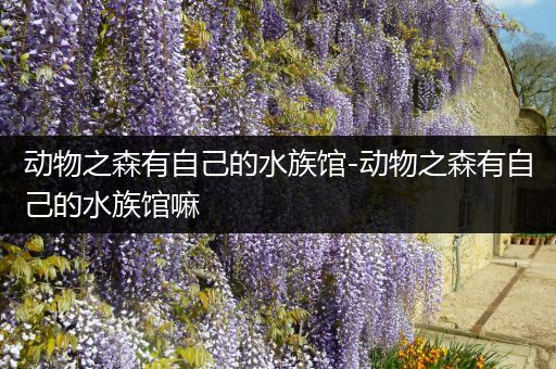 动物之森有自己的水族馆-动物之森有自己的水族馆嘛