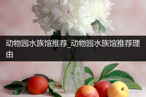 动物园水族馆推荐_动物园水族馆推荐理由
