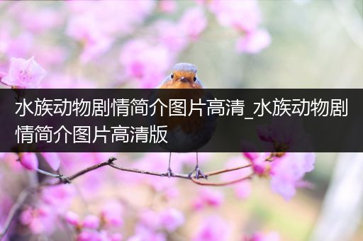 水族动物剧情简介图片高清_水族动物剧情简介图片高清版