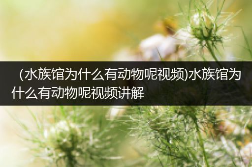 （水族馆为什么有动物呢视频)水族馆为什么有动物呢视频讲解