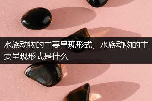 水族动物的主要呈现形式，水族动物的主要呈现形式是什么