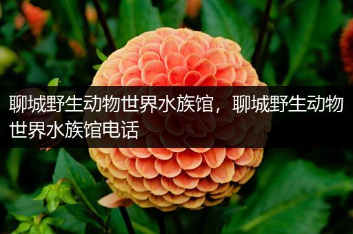 聊城野生动物世界水族馆，聊城野生动物世界水族馆电话